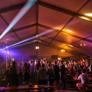 Party-Menge